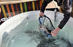 � ������� ������� ������� ��������� ����������� ����-����