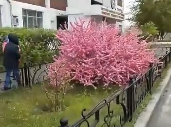 � ����-��� �������� ������ �������, �� �� ������� 