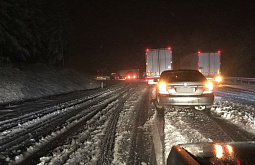 �� ����������� ������� ������� �������� 36 ������ �����������