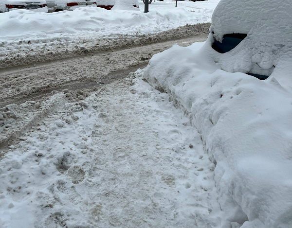 ��� ���� ������� ������� �� ��������� � ����������� ������