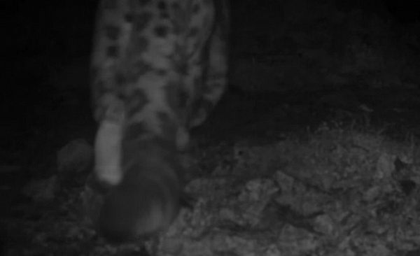 � ������� � ������������ ����� ������ ������� ���� (�����) 