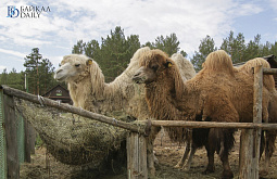 ������ ������� ��������� ��������� ��������� 