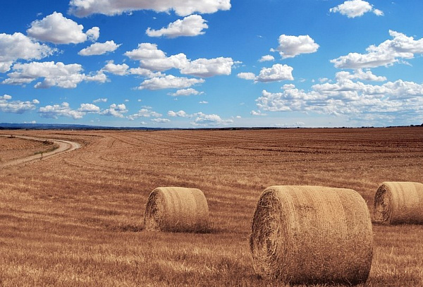 ���� ������� ������ � ��������� ������ ������� 