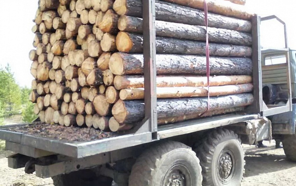 � ������� �������� ���� �����������������