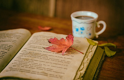 ��������� ������� �������� � ����� ����� �������� �� ������ 