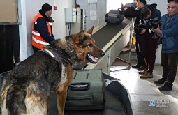 ��������� �������-����������: ����� ������ �������� ������� �����