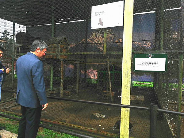 ���������� ����� ��� ����� �������� ���������������� ����� �������