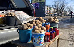 В Бурятии за год взлетели цены на картошку