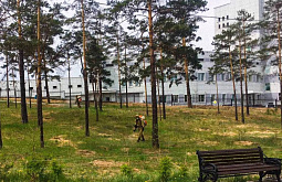 � ����-��� ������ � ������ � �������� �������������� 