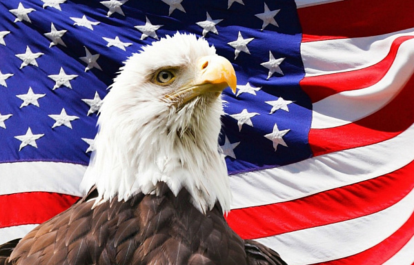 ������������ ���������� �������� ����� � �������