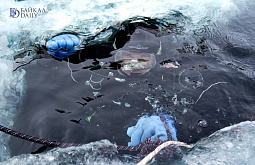 � ������� ��������� ����������� ��� �� ������� 