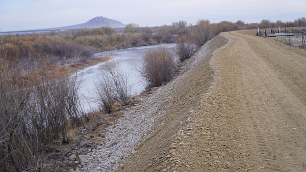 � ���� ������� ������������ �������� �����