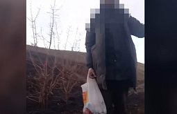 ������ ���� ������ ���� ������������ ���������