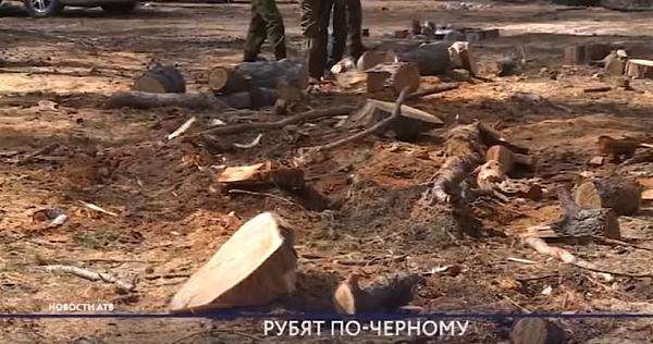 �� ������ ������� � ������� ��������� �������� ���������� ��� 