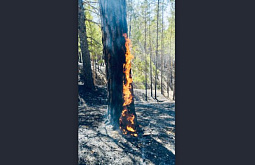 ������ ������ � ������� ��������� ��-�� ����� ���� � ������ ���