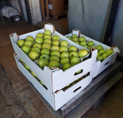 � ����-��� ���������� ������� ����������� �������