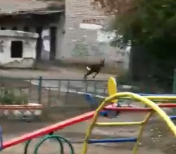 � ����-��� ������� ������ � ��������� � ��� 