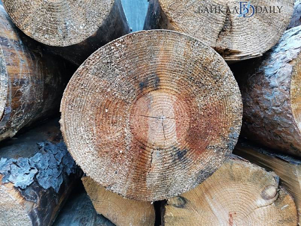 ����-������ ��������� �� ����������� � ������ 