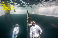 �� ������� ������ ������������� ��������� ��������� �����������