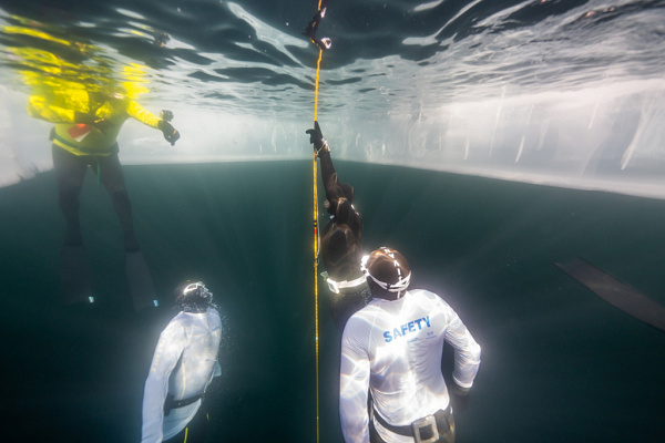 �� ������� ������ ������������� ��������� ��������� �����������