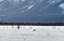 ������ ��� ����� � ������� ����� ��������� 