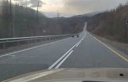 � ������� �� ������ ����� �������� �������� ���� ����������