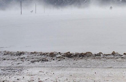 � ���������� ���������� �� -48 � ����� ���� ������� �����