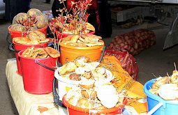 ������� �������� ������ ������ � ����-��� 