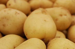 � ������� ��������� ������ �������� ����������������� 