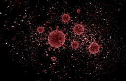 ����������� � ������� ������� ��� � ������ ������� 