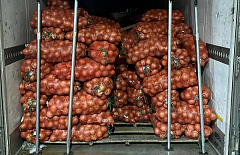 � ������� ������� 28 ���� ���� �� ���������� 