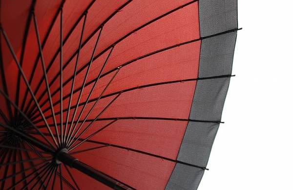 Улан-удэнка украла из дома зонт 