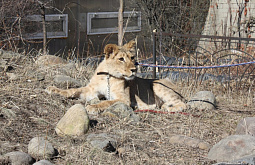 � ��������� ���������� �������� ��������� ������ ���� 