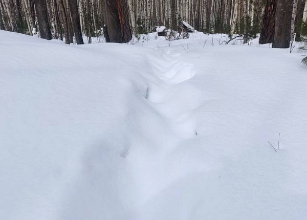 � ��������� ������� ������� ����� �������� �� ������ ������