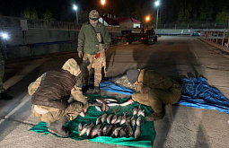 �� ����� ������ � ������� ���������� �������� ����� �� ������� ��������