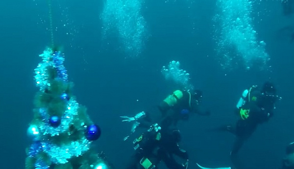 �� ��� ������� ���������� ���������� ����