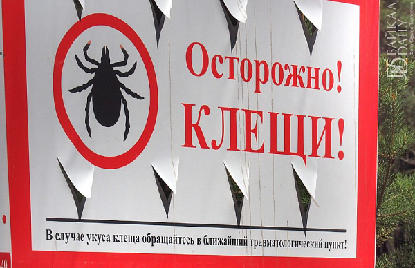 ���������� ������� �������� �������� �����������