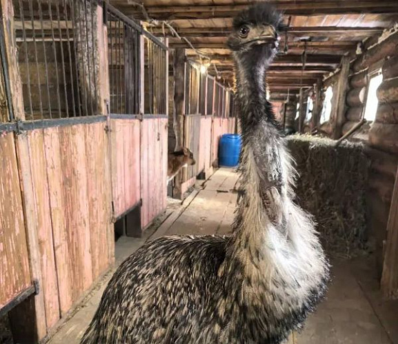 � ��������� ������� ������ ������ ������� ������ ��-�� ������