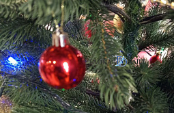 ‎�������� � ������� ������������ �� �������� ����