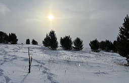 � ������� ���������� ���������� �������� ����� ����������������� 