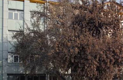 Дом печати в Улан-Удэ снова «минировали» 
