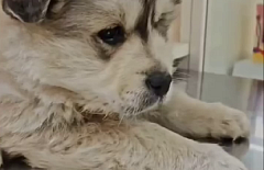 � ����-��� ����� � ����� ������ ������� ����� �����