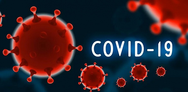 До 60 выросло число случаев коронавируса в Бурятии 