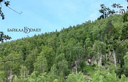 � ���� �� ������ ������� ���������� ���������� �������� ������������