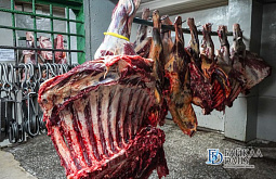 � ������� �������� ��� ����� ��� ������ ���� 