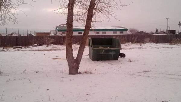 � ������������ ���������� ������� ��� ������������� ����