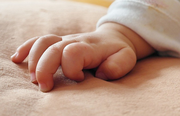 ������ ����������� ������� � ������� ����� ����� � ����