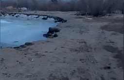 � ���� ��������� ��������� ������� ������ �� ������ ����