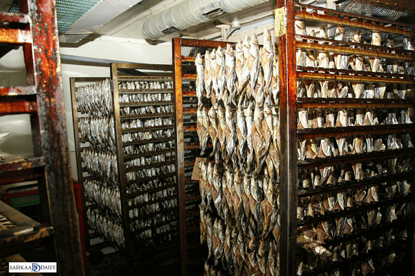 ����� ��������������: � ������� �� ����� ������������ ����� ��� ������ ��������� 