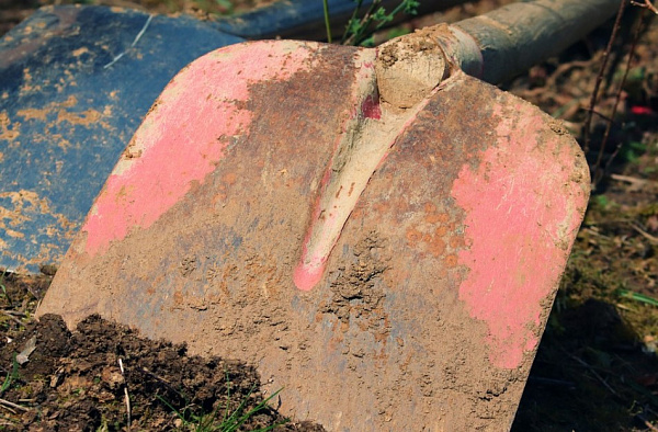 ���������� ������� �������� �������, ���������� �� ���� � ���� 